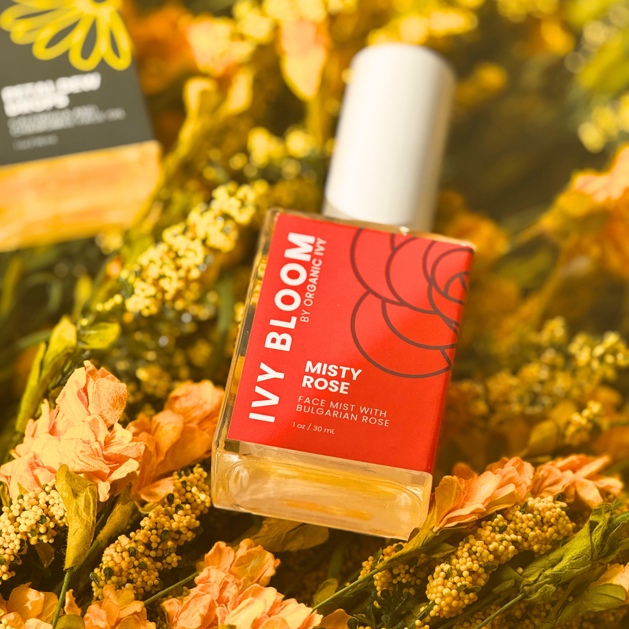 Ivy Bloom by Organic Ivy