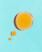 Calypso Vitamin C + CoQ10 Elixir Earth Harbor