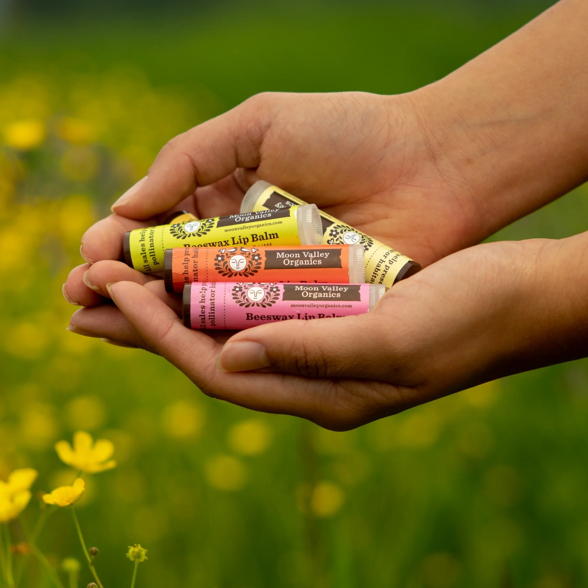 Beeswax Lip Balm, Assorted Flavors Moon Valley Organics