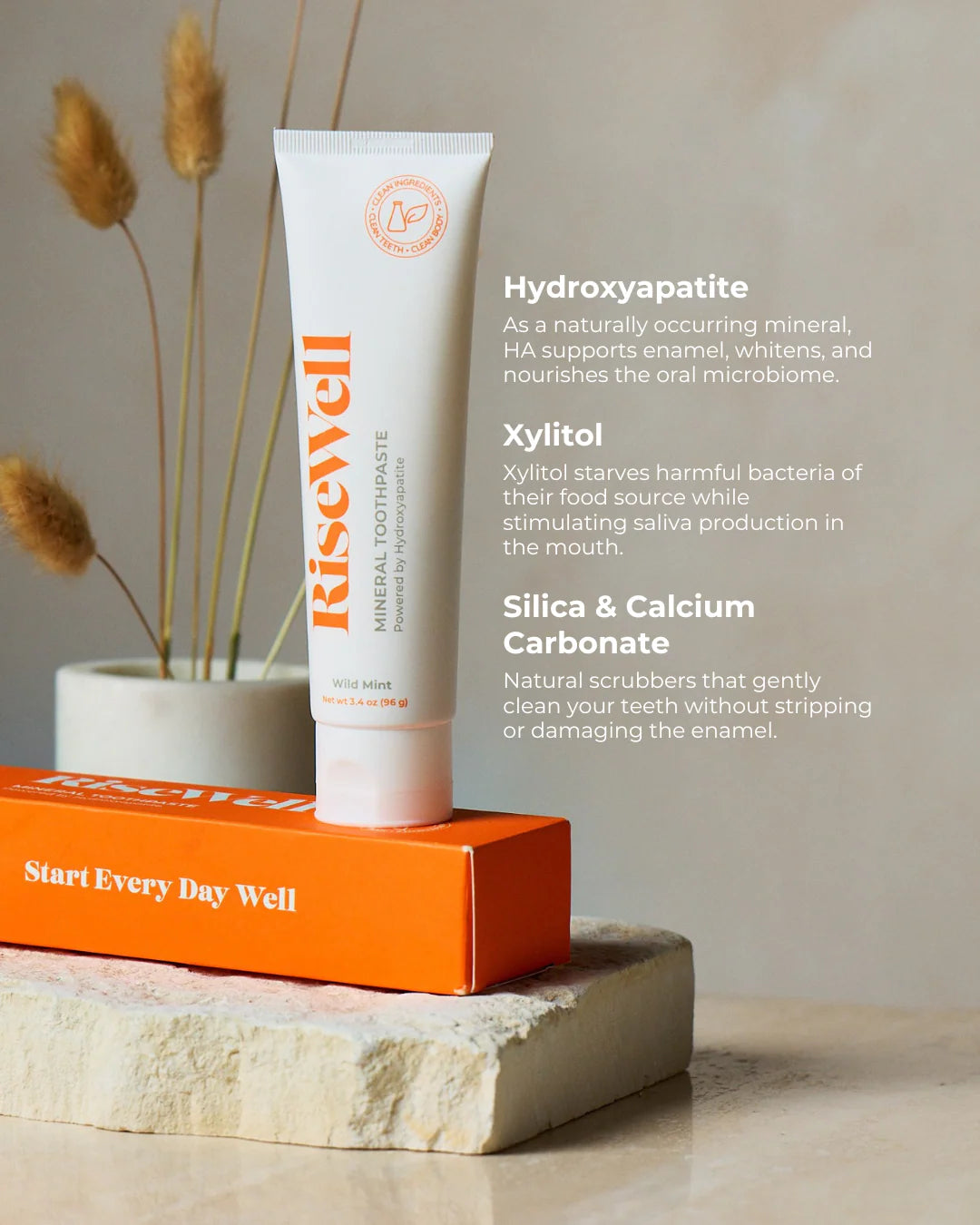 Mineral Toothpaste, Wild Mint