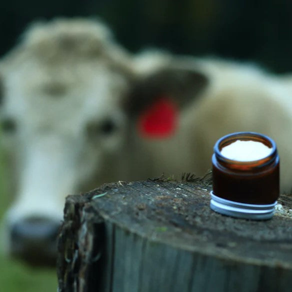 Tallow Balm Marrow & Tallow