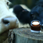Tallow Balm Marrow & Tallow