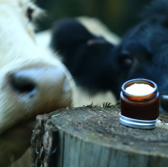 Tallow Balm Marrow & Tallow