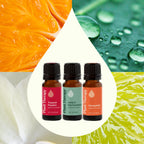Tropical Scents Home Essential Oil Set