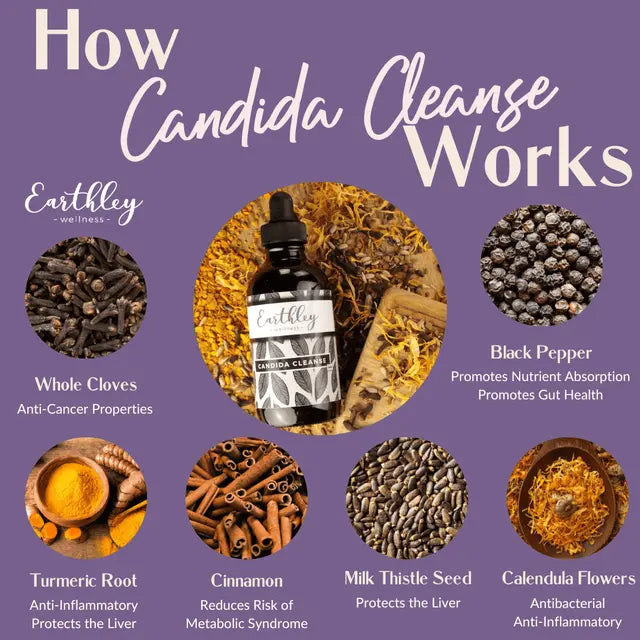 Candida Cleanse Tincture