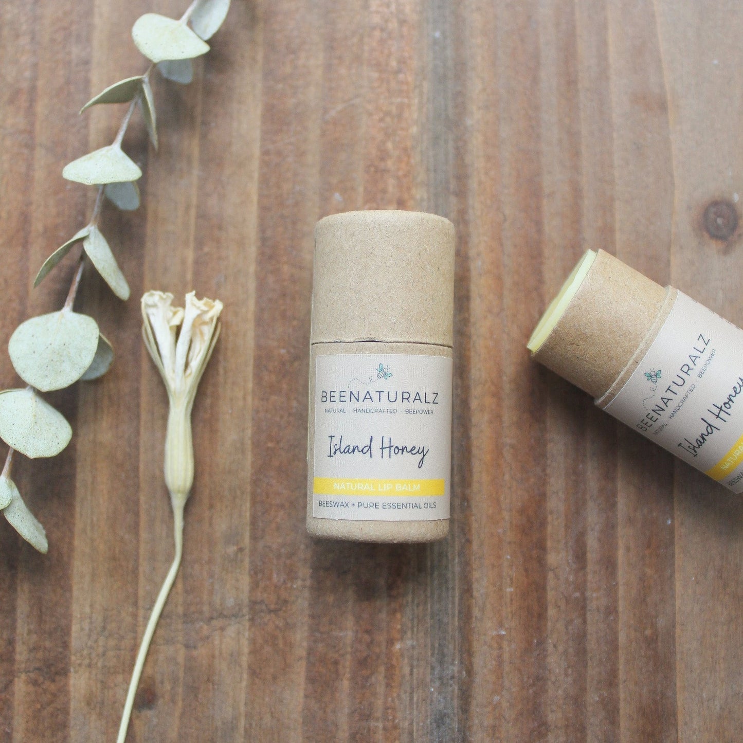 Beeswax Lip Balm, Island Honey