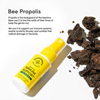 Bee Propolis Throat Spray Beekeeper's Naturals