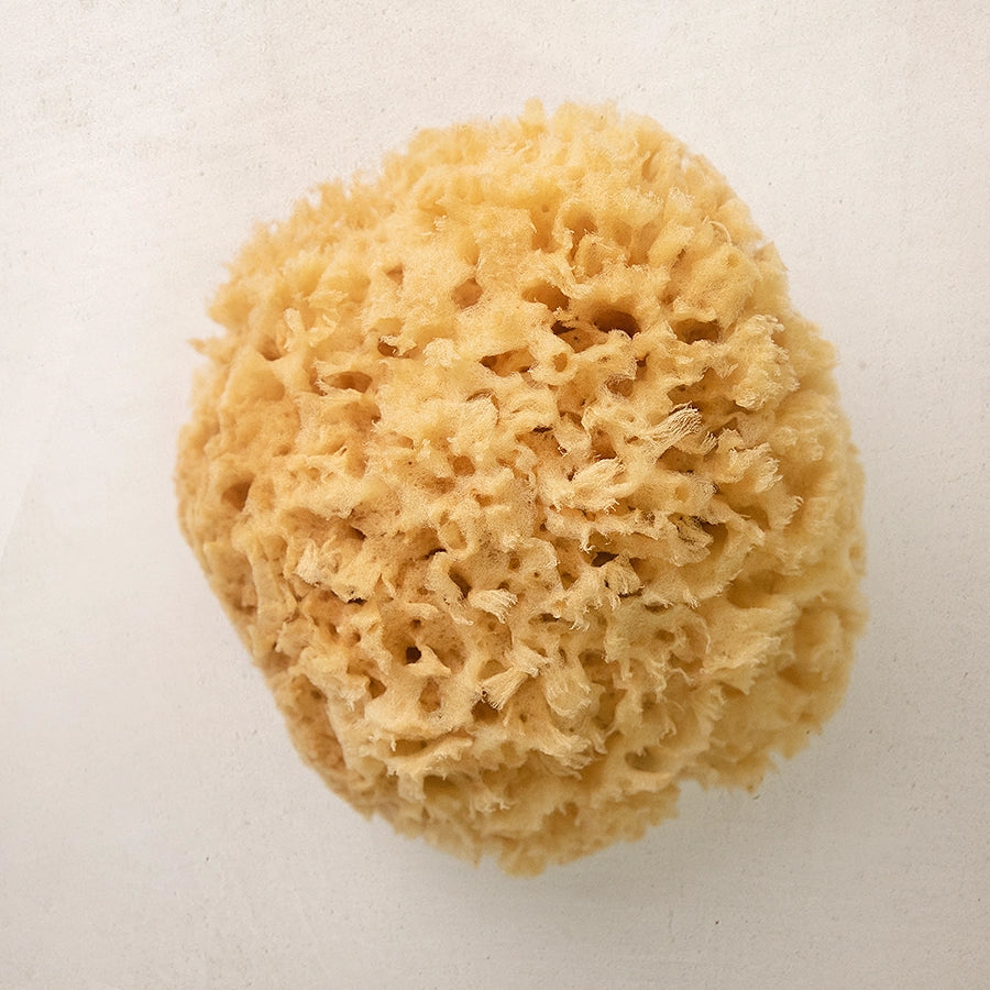 Natural Sea Sponge, Plastic-Free Loofah