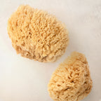 Natural Sea Sponge, Plastic-Free Loofah